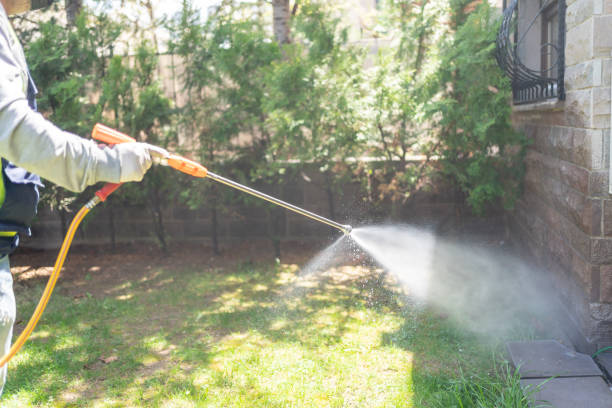 Best Bee and Wasp Removal  in Golden Triangle, NJ